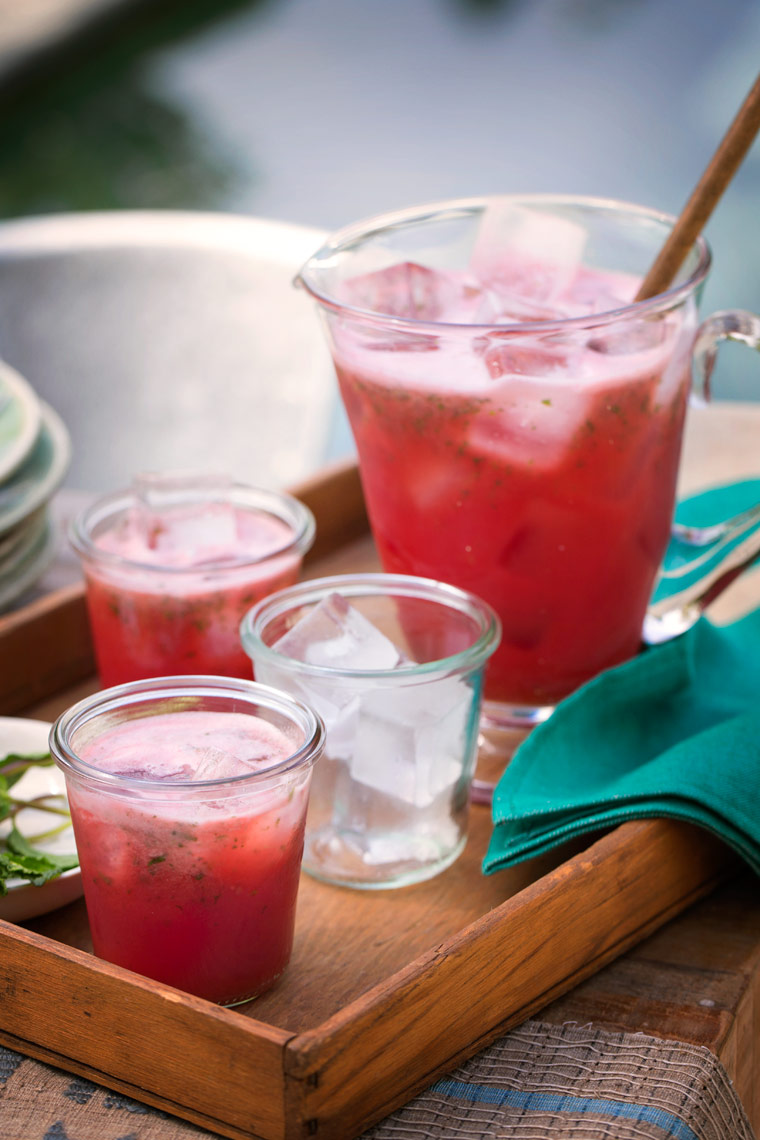 01_watermelonMint-0818-DUP.jpg